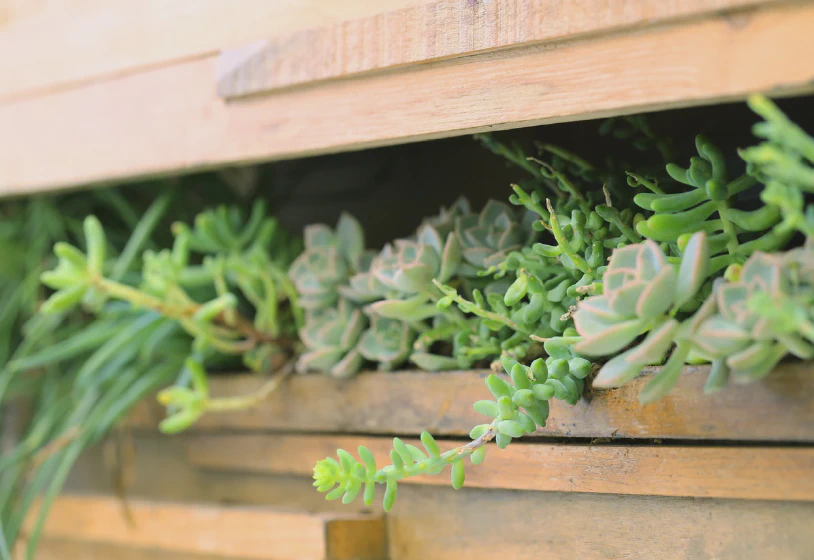 Stilvolle Zurückhaltung